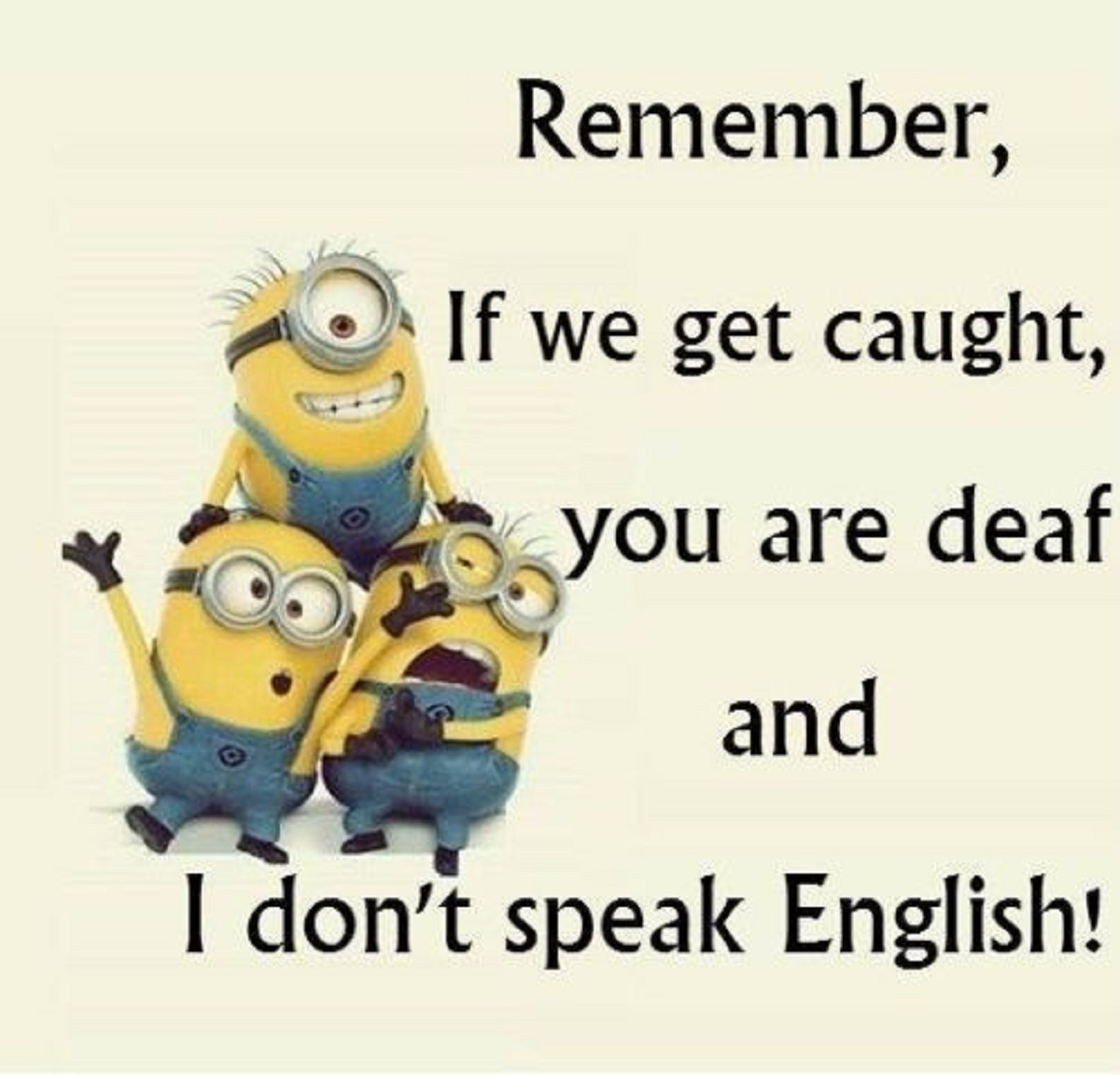 60 Best Minion Quotes That Will Brighten Your Day