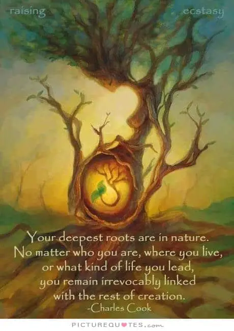 nature quote 18