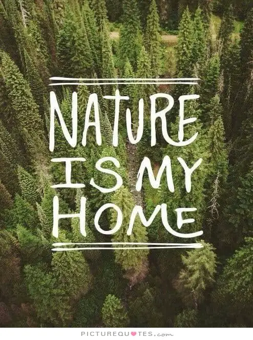 nature quote 2