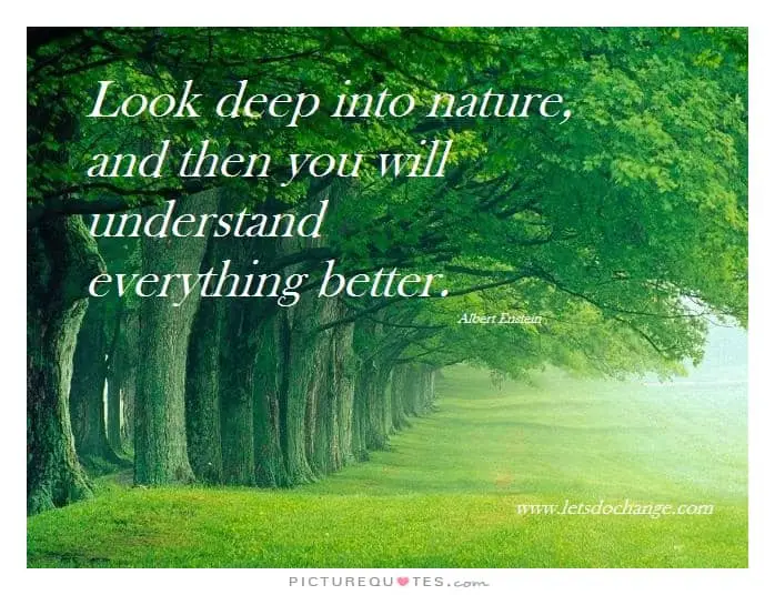 50 Nature Quotes To Find Inner Peace – QuoteVill