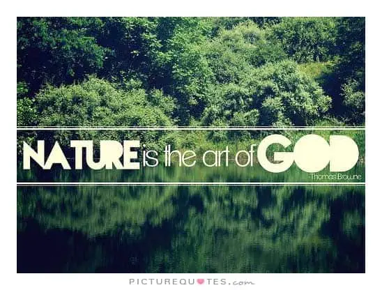 nature quote 28