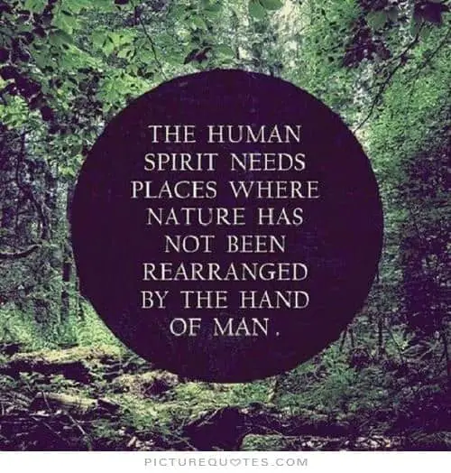 nature quote 32