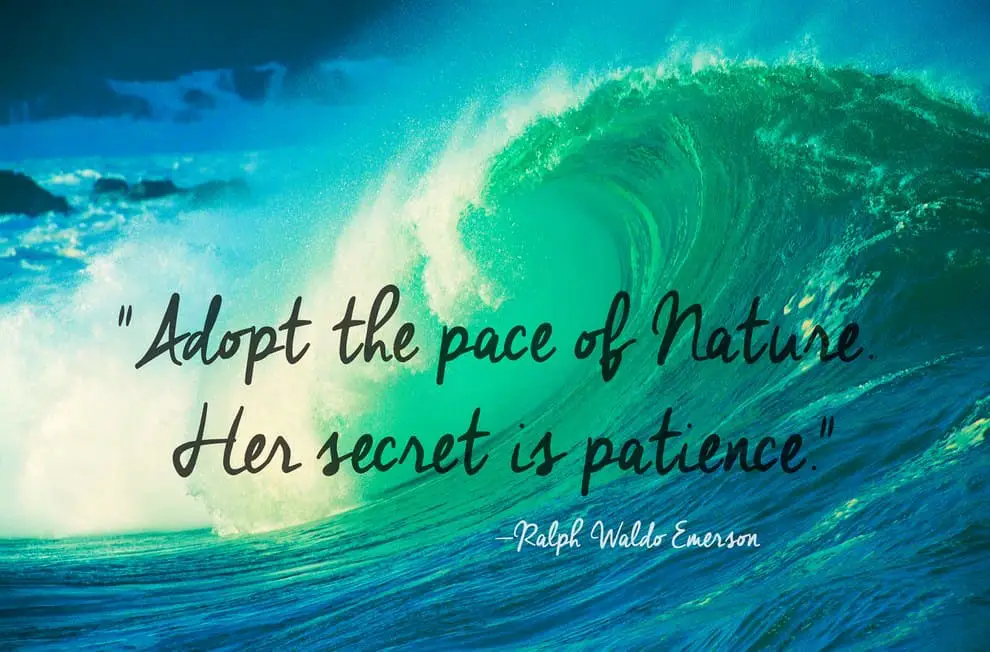 50 Nature Quotes To Find Inner Peace – QuoteVill
