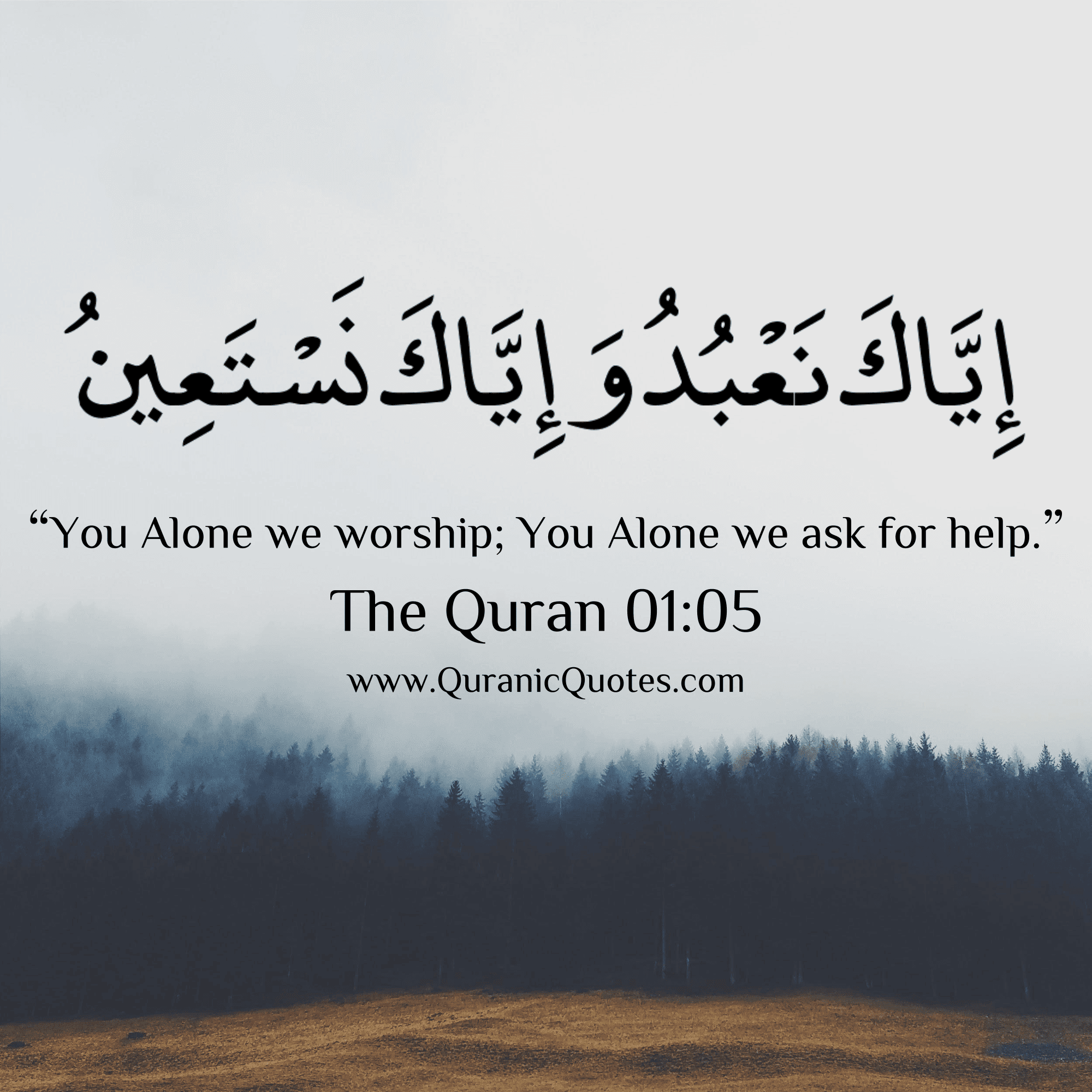 Wise Quran Quotes To Lead You Through Life