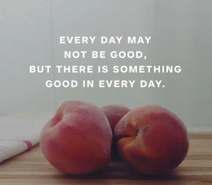 daily-quotes-7