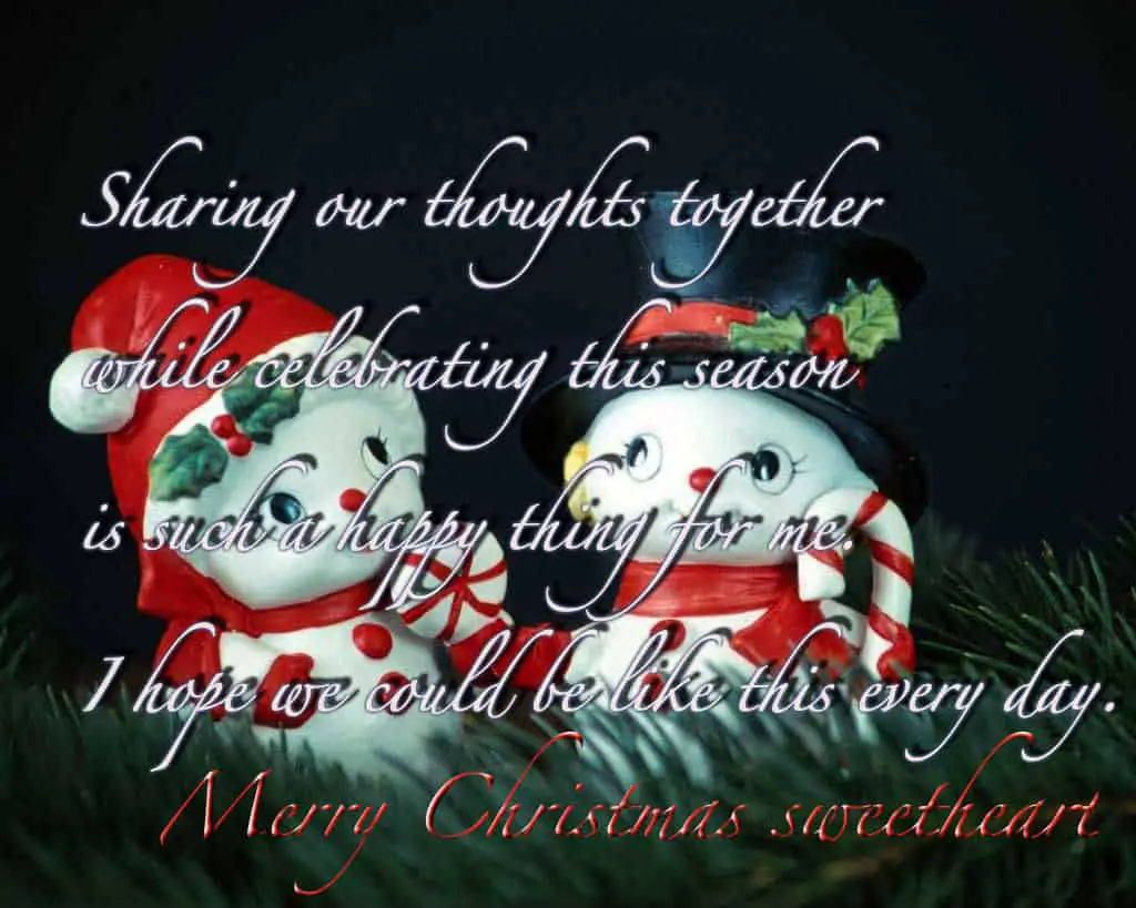 merry-christmas-quotes-30