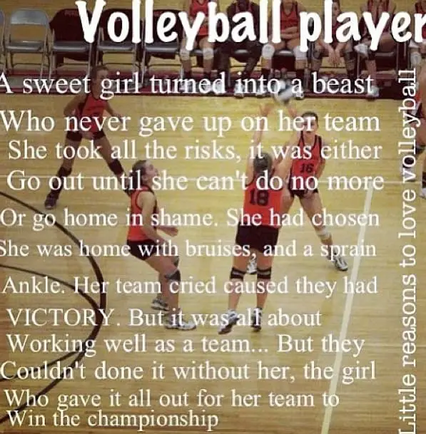 volleyball-quotes-42