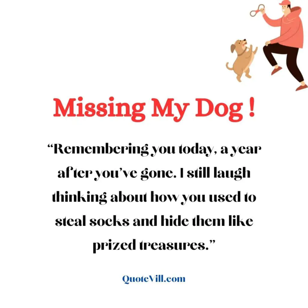 Emotional-First-Year-Remembering-My-Dog-Quotes
