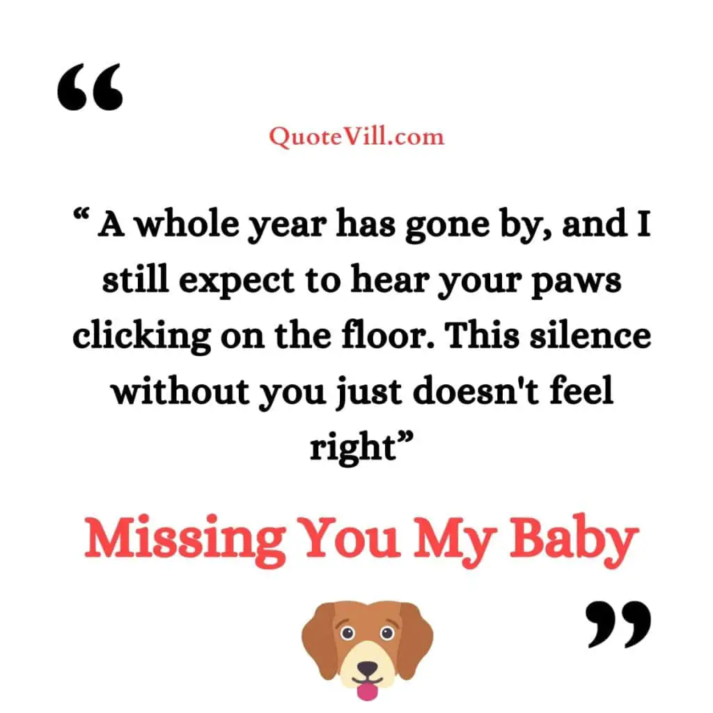 Missing-My-Dog-Quotes-Who-Died-One-Year-Ago