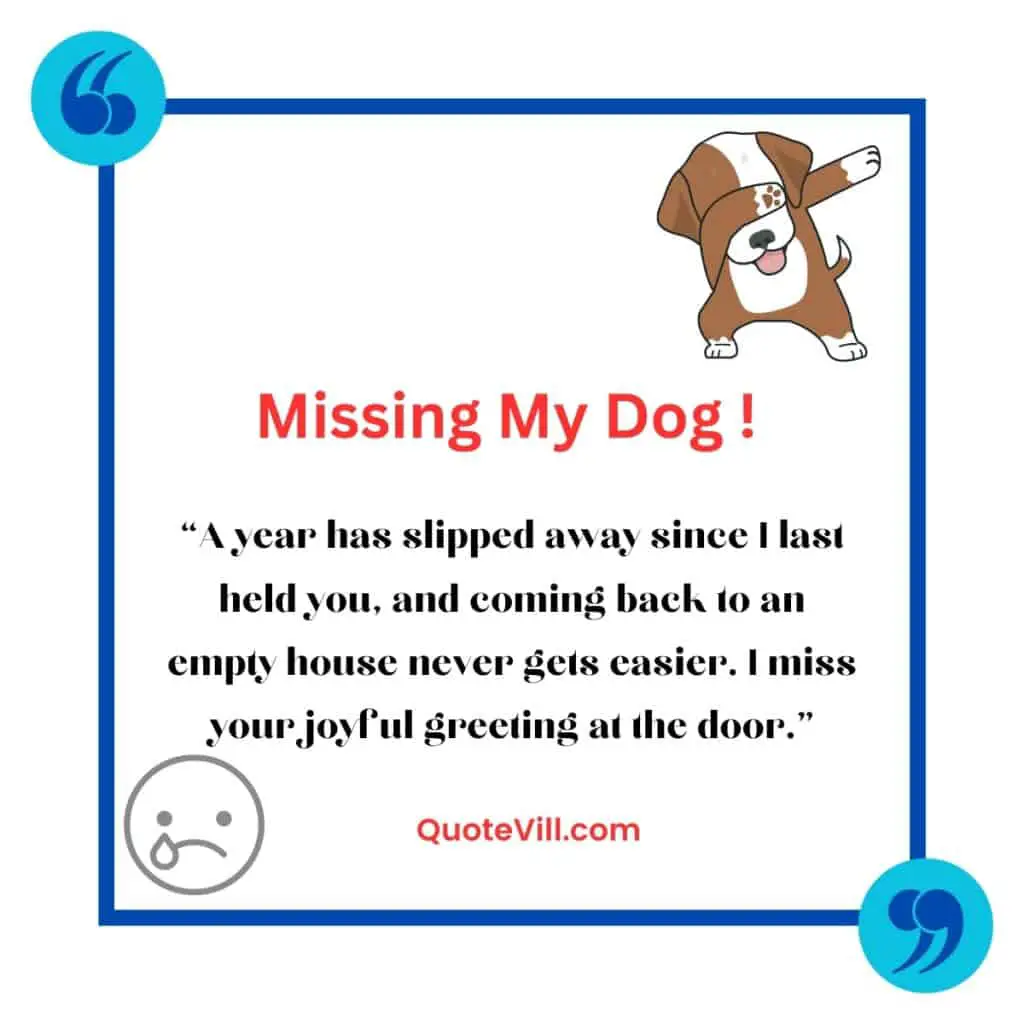 Heart-Touching-Missing-My-Dog-Quotes-Who-Died-One-Year-Ago